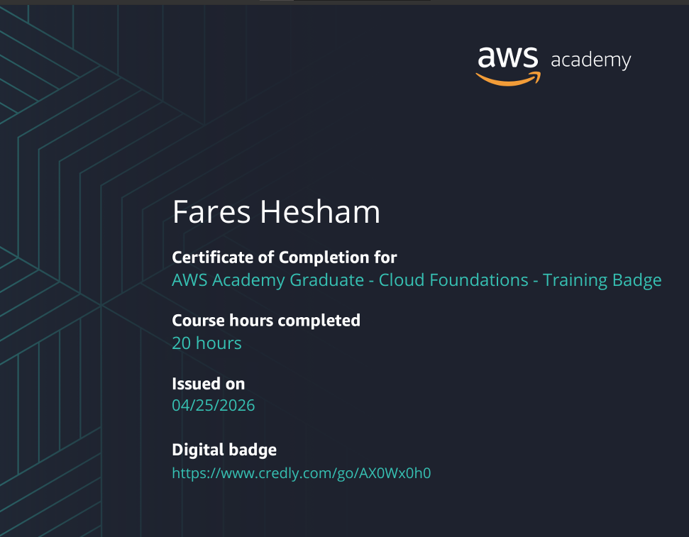 Fares Hesham — Data Engineer & Data Analyst